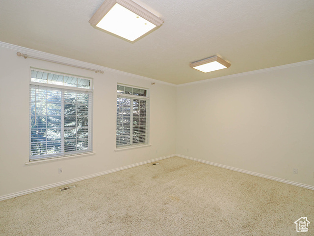 Photo 33 for MLS #2097959 at 321 E Bardsley Way