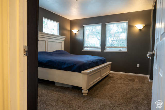 Photo 11 for MLS #2097970 at 3694 S Crespi Ct