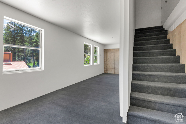 Photo 44 for MLS #2098003 at 575 Upper Evergreen Dr