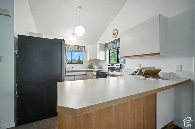 Photo 10 for MLS #2098078 at 214 S Terry Pkwy