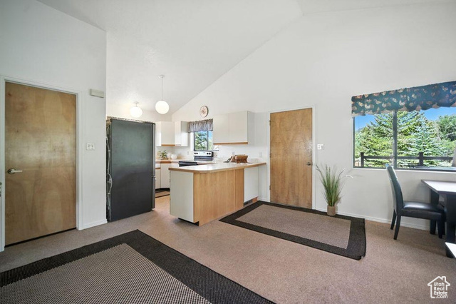Photo 9 for MLS #2098078 at 214 S Terry Pkwy