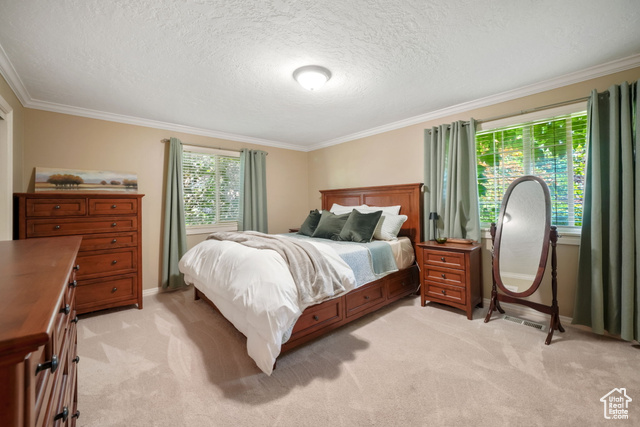 Photo 14 for MLS #2098159 at 8916 S Cobble Crest Ln