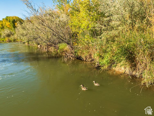 Photo 25 for MLS #2098205 at 20673 W East River Rd