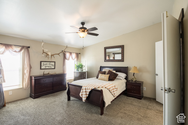 Photo 11 for MLS #2098208 at 5375 N Canal Rd