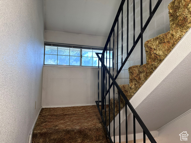 Photo 17 for MLS #2098248 at 1780 W Homestead Farms Ln #2