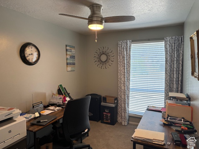 Photo 12 for MLS #2098300 at 4650 S Chapel Dr