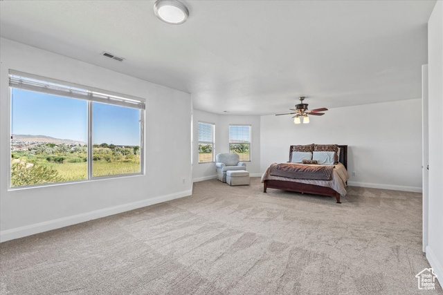 Photo 22 for MLS #2098382 at 472 S Olive Pl
