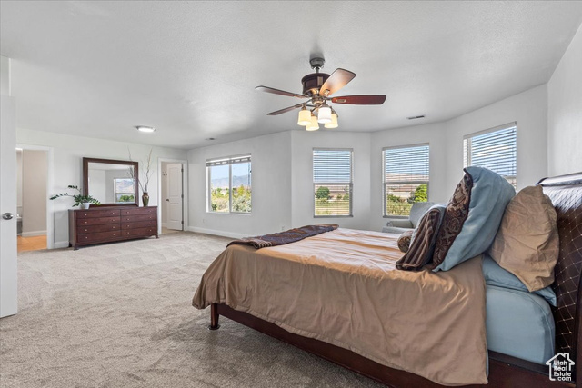 Photo 24 for MLS #2098382 at 472 S Olive Pl