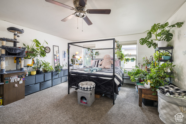 Photo 19 for MLS #2098478 at 1018 S Valley View Ct