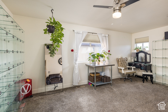 Photo 17 for MLS #2098478 at 1018 S Valley View Ct