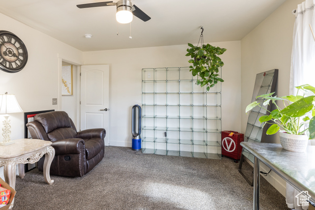 Photo 18 for MLS #2098478 at 1018 S Valley View Ct
