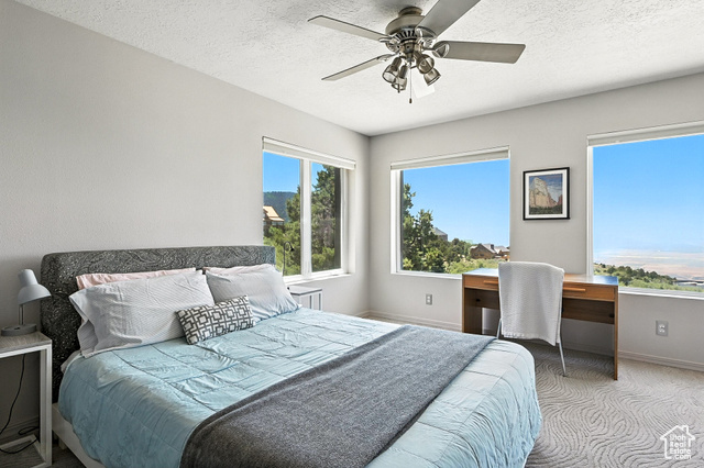 Photo 49 for MLS #2098510 at 1227 E High Valley View Cir