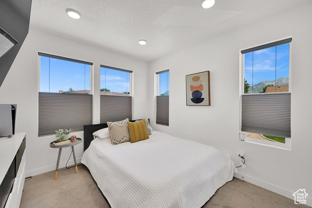 Photo 20 for MLS #2098776 at 341 E 9000 South