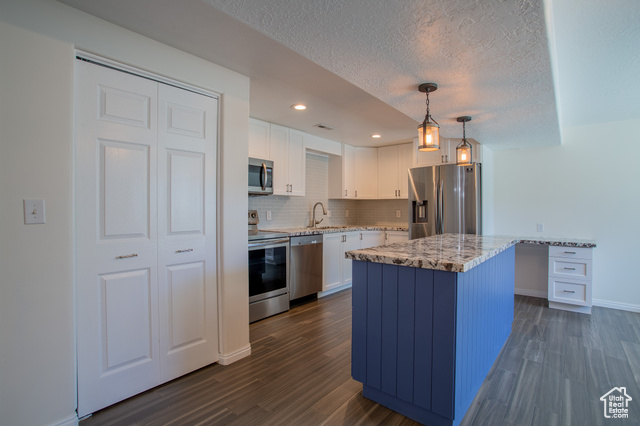 Photo 45 for MLS #2098785 at 12073 S Moonwalk Cir