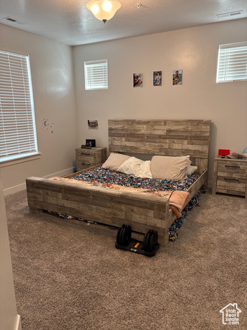 Photo 7 for MLS #2098795 at 1772 W Terra Vista Ln