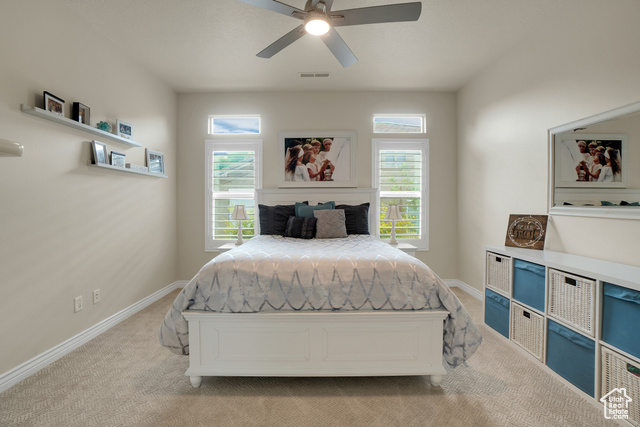 Photo 16 for MLS #2098874 at 1102 W Chama Ct
