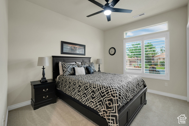 Photo 26 for MLS #2098874 at 1102 W Chama Ct