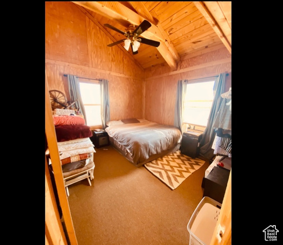 Photo 34 for MLS #2098878 at 18854 W Arzy Mitchell Cir