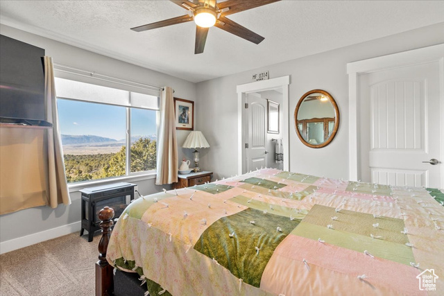 Photo 14 for MLS #2098887 at 14440 N 11740 East