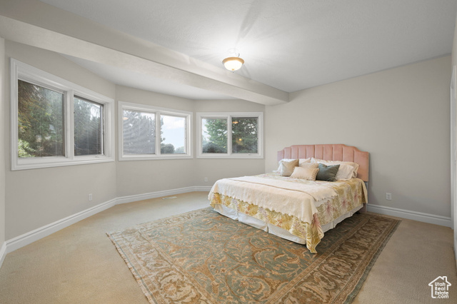 Photo 33 for MLS #2098907 at 1606 E Lakeview Way