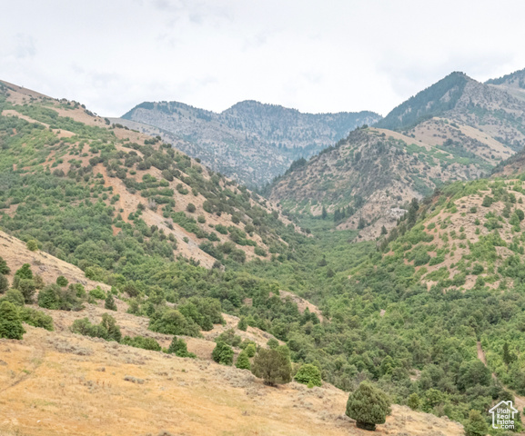 , Hyde Park UT 84318