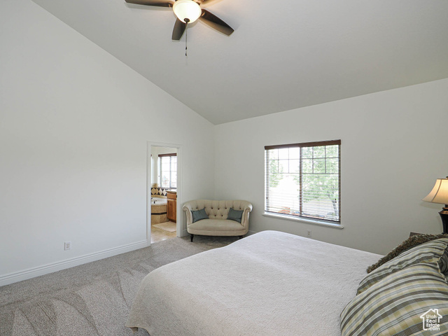 Photo 41 for MLS #2099082 at 14181 S Hollow Vista Cv