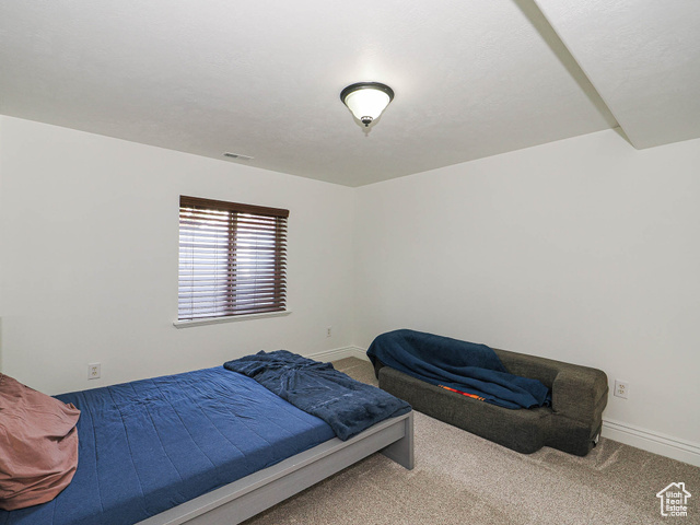 Photo 88 for MLS #2099082 at 14181 S Hollow Vista Cv