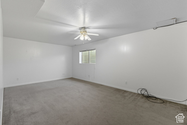 Photo 17 for MLS #2099109 at 447 Salton St
