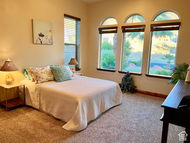 Photo 43 for MLS #2099129 at 2238 S Redstone Rd