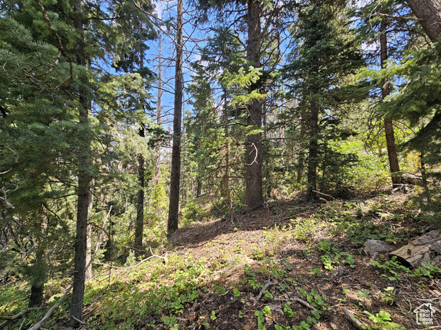 28 SUGAR PINE DR, Mt Pleasant UT 84647