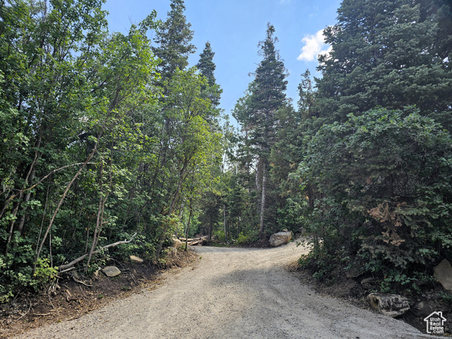 29  SUGAR PINE DR, Mt Pleasant UT 84647
