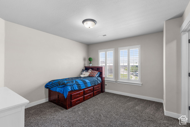 Photo 21 - 2441 W Willow Haven Ave, Lehi UT 84043
