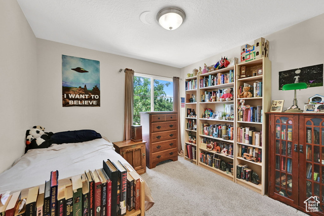 Photo 31 for MLS #2099298 at 11278 S Ropemaker Rd