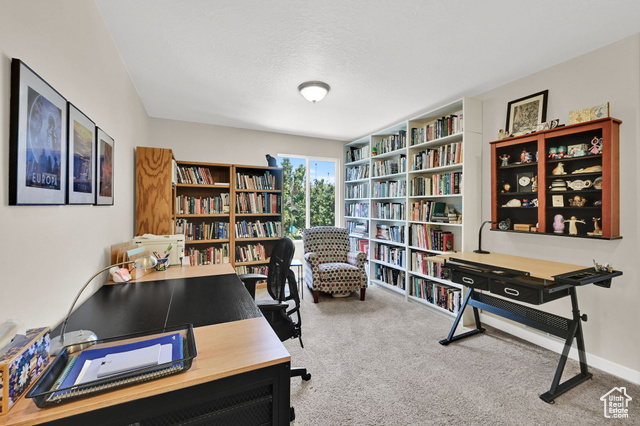 Photo 26 for MLS #2099298 at 11278 S Ropemaker Rd