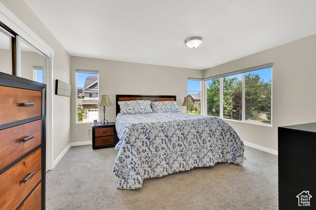 Photo 21 for MLS #2099298 at 11278 S Ropemaker Rd