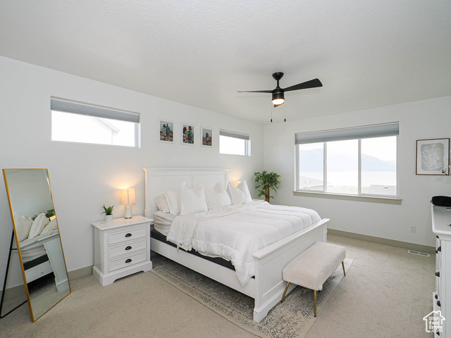 Photo 18 for MLS #2099404 at 3248 S Forest Ave