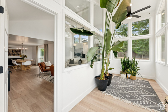 Photo 8 for MLS #2099529 at 1043 S Oxford Cir