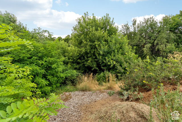 Photo 49 for MLS #2099529 at 1043 S Oxford Cir