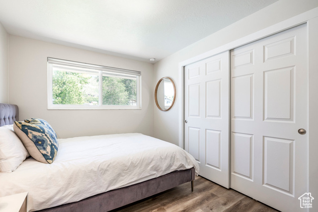 Photo 18 for MLS #2099594 at 1955 E Eastwood Blvd