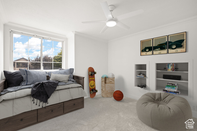 Photo 49 for MLS #2099687 at 1172 W Country Ridge Dr