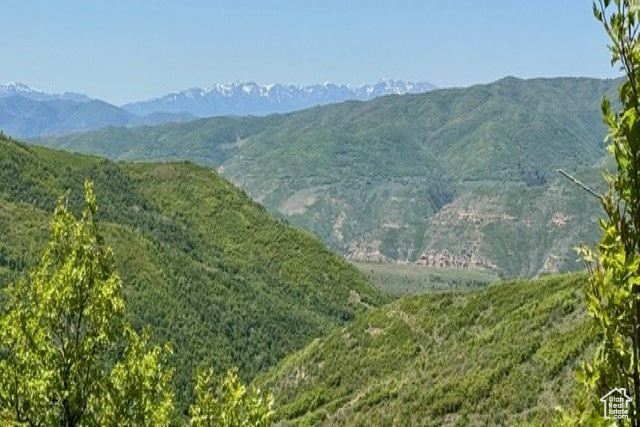 10969  SKYLINE RD, Echo UT 84024