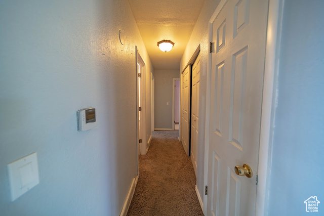 Photo 5 for MLS #2099788 at 703 N Windsor Cir