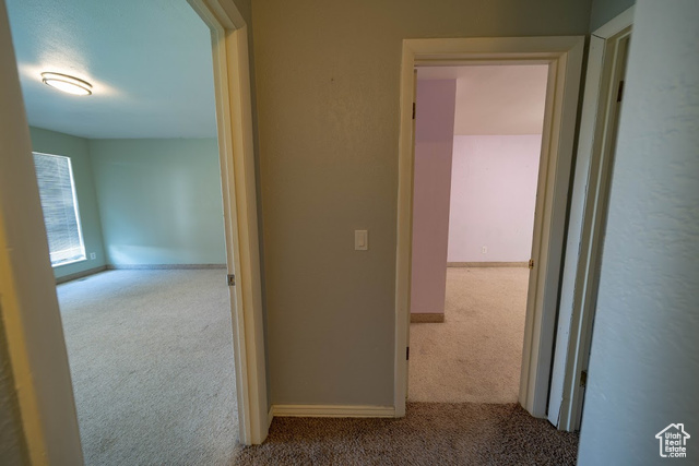 Photo 21 for MLS #2099788 at 703 N Windsor Cir