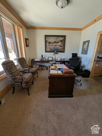Photo 88 for MLS #2099808 at 3700 N Foothill Ln
