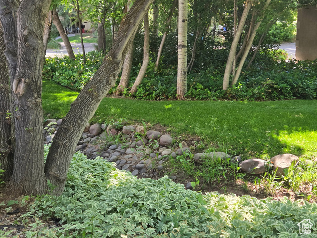 Photo 63 for MLS #2099927 at 7737 W Sawtooth Cv