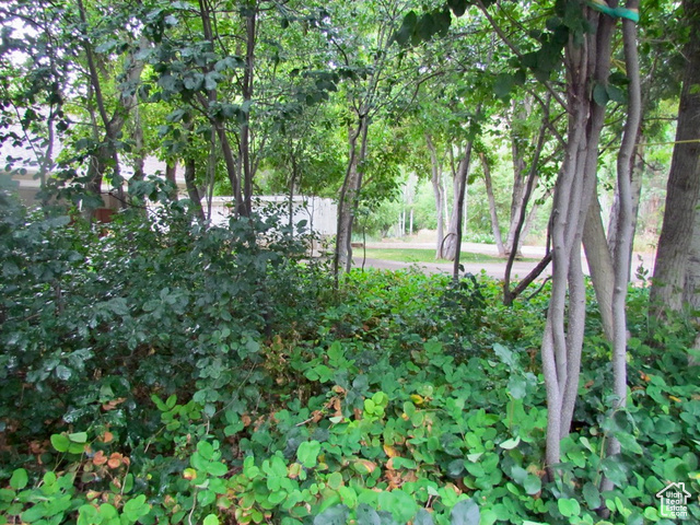Photo 54 for MLS #2099927 at 7737 W Sawtooth Cv