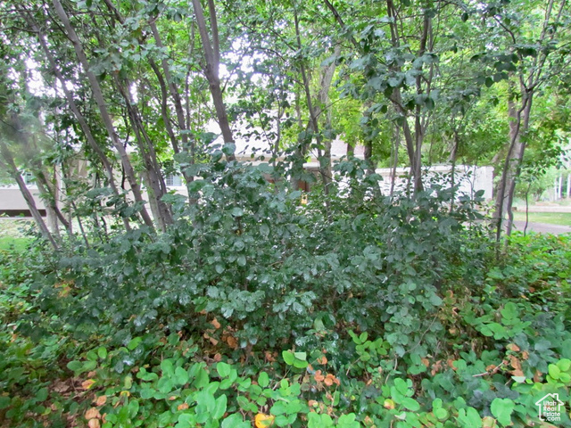 Photo 56 for MLS #2099927 at 7737 W Sawtooth Cv