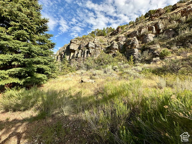 Photo 81 for MLS #2099927 at 7737 W Sawtooth Cv
