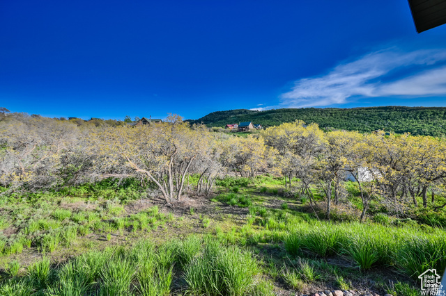 Photo 39 for MLS #2099967 at 1810 Timber Lakes Dr #832
