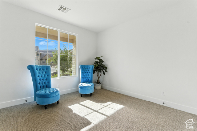 Photo 18 for MLS #2100021 at 3142 S Mesa Verde Cir